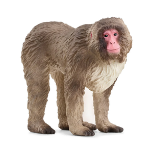 Schleich Japanse makaak - Wild Life