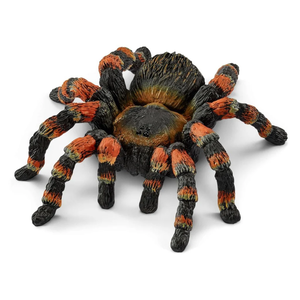 Schleich Vogelspin - Wild Life
