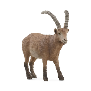 Schleich Steenbok - Wild Life