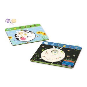 Djeco Spel - Zoek- en vindspel 'Obs Grappig' (3-6j)