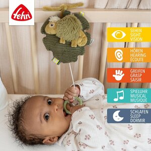 Fehn Muziekdoos Kameleon