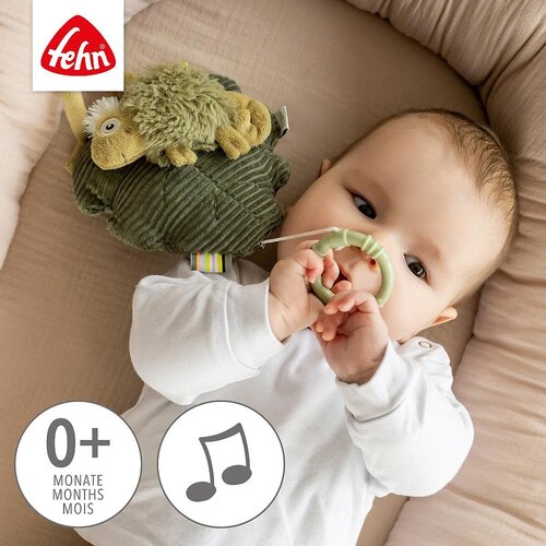 Fehn Muziekdoos Kameleon