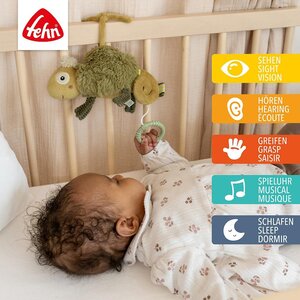 Fehn Mini Muziekdoos Kameleon