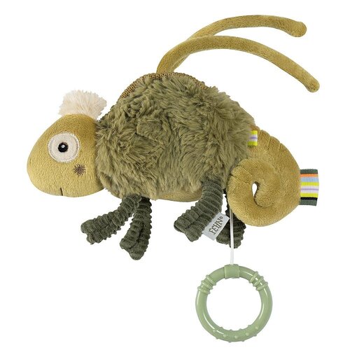 Fehn Mini Muziekdoos Kameleon