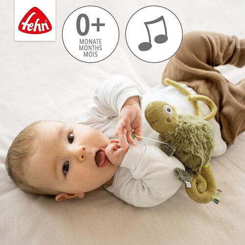 Fehn Mini Muziekdoos Kameleon