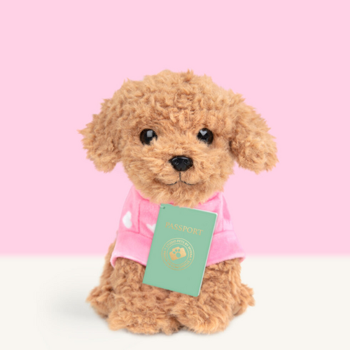 Studio Pets Studio Pets - Plush Cookie (16cm)