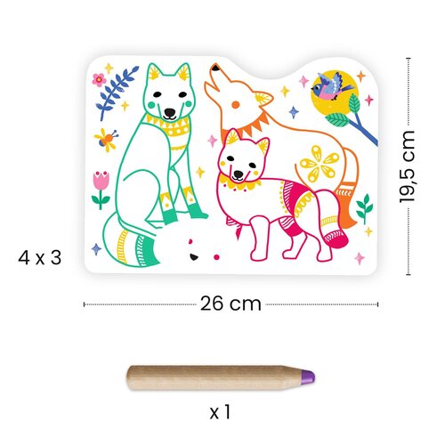 Djeco Knutselpakket - Verborgen kleurplaten 'dierenfamilies in het bos' (3-6j)