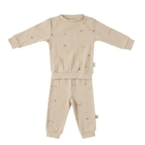 Witlof Boxpakje Set 2-delig Urban Taupe | Dark Taupe