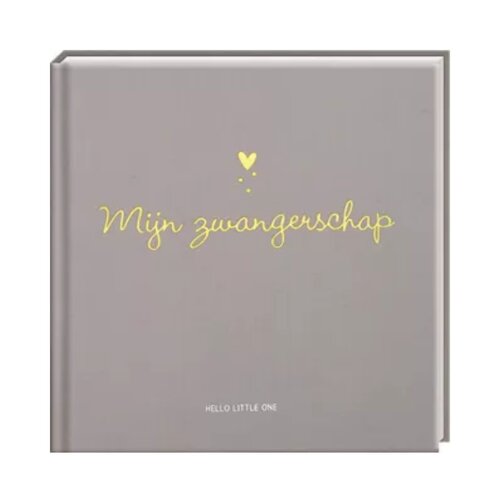 Image Books Invulboek "Mijn zwangerschap"