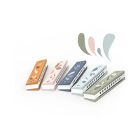 Harmonica assortiment 1 stuk