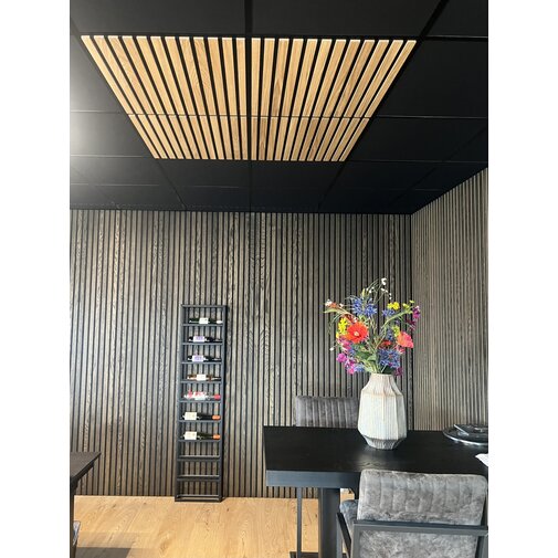 Systeemplafondplaat  nature