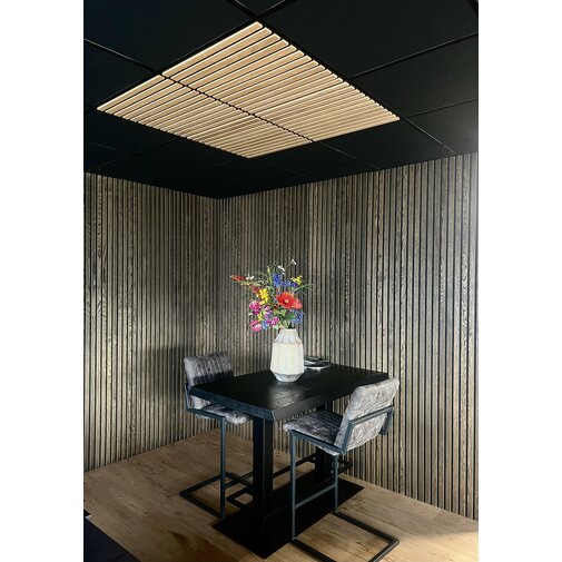 Systeemplafondplaat  white Systeemplafondplaat  white