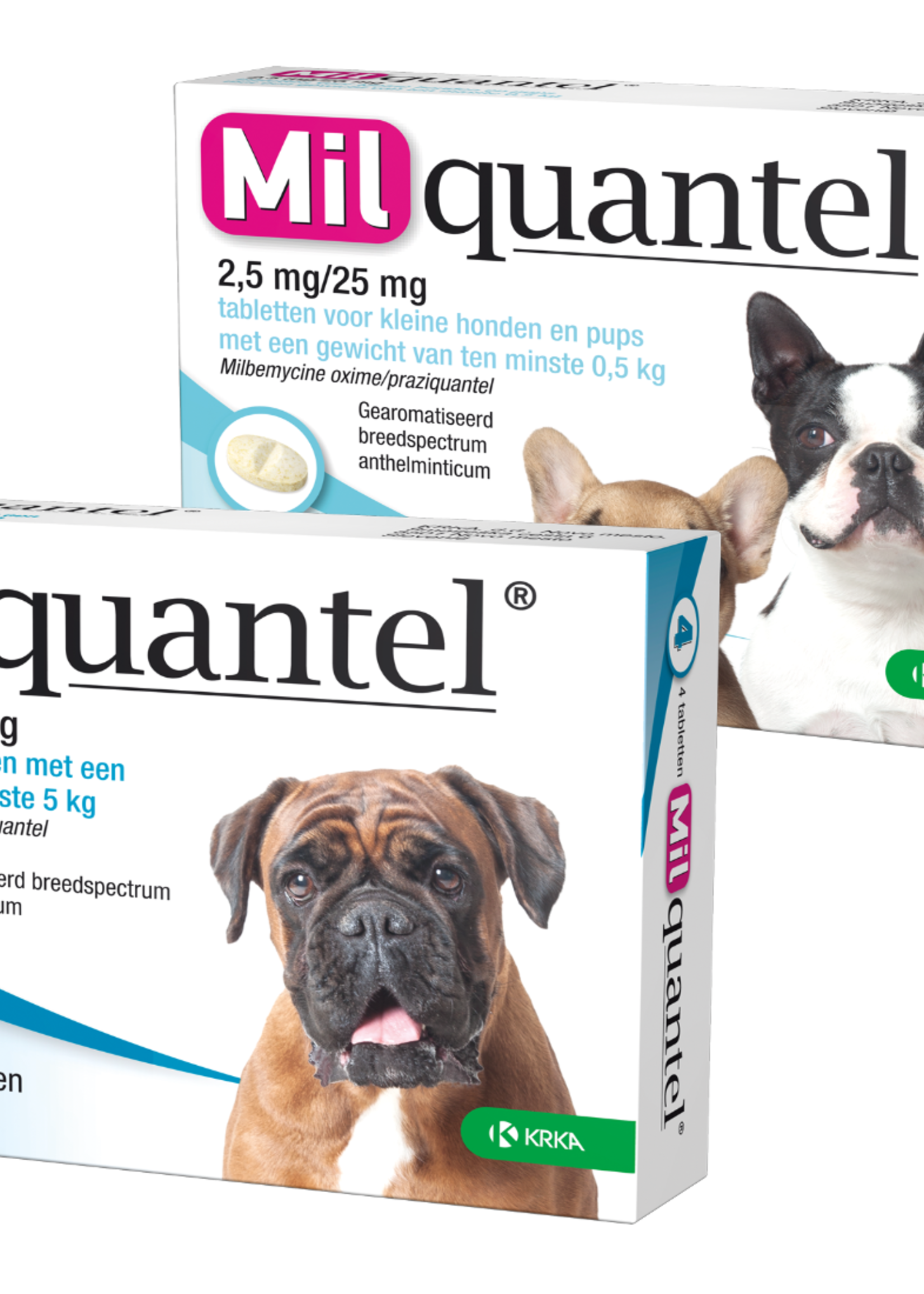 Milquantel Ontworming Tabletten voor de hond!