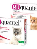 Milquantel Ontworming kat 4x tablet