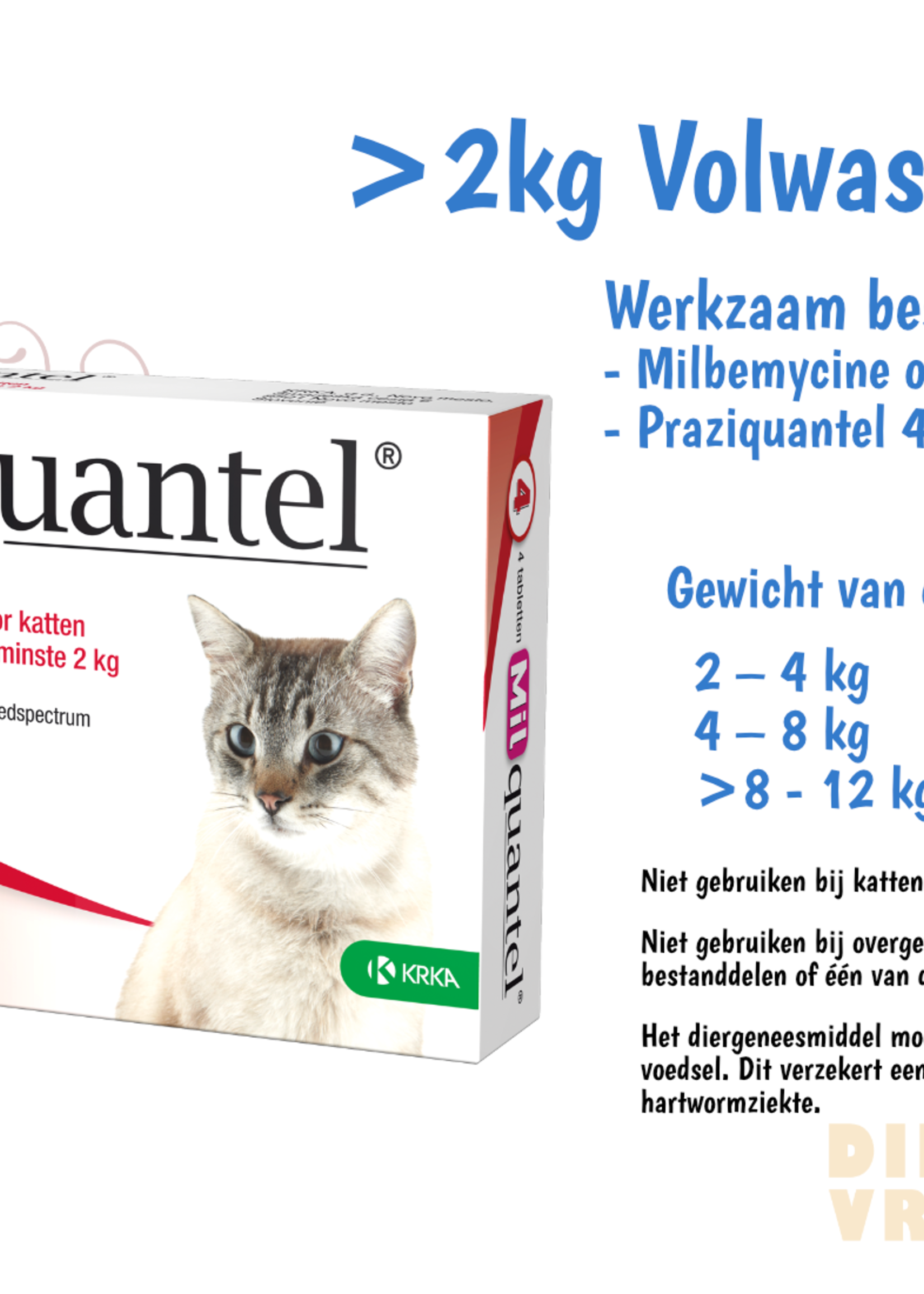 Milquantel Ontworming kat 4x tablet voor de kat