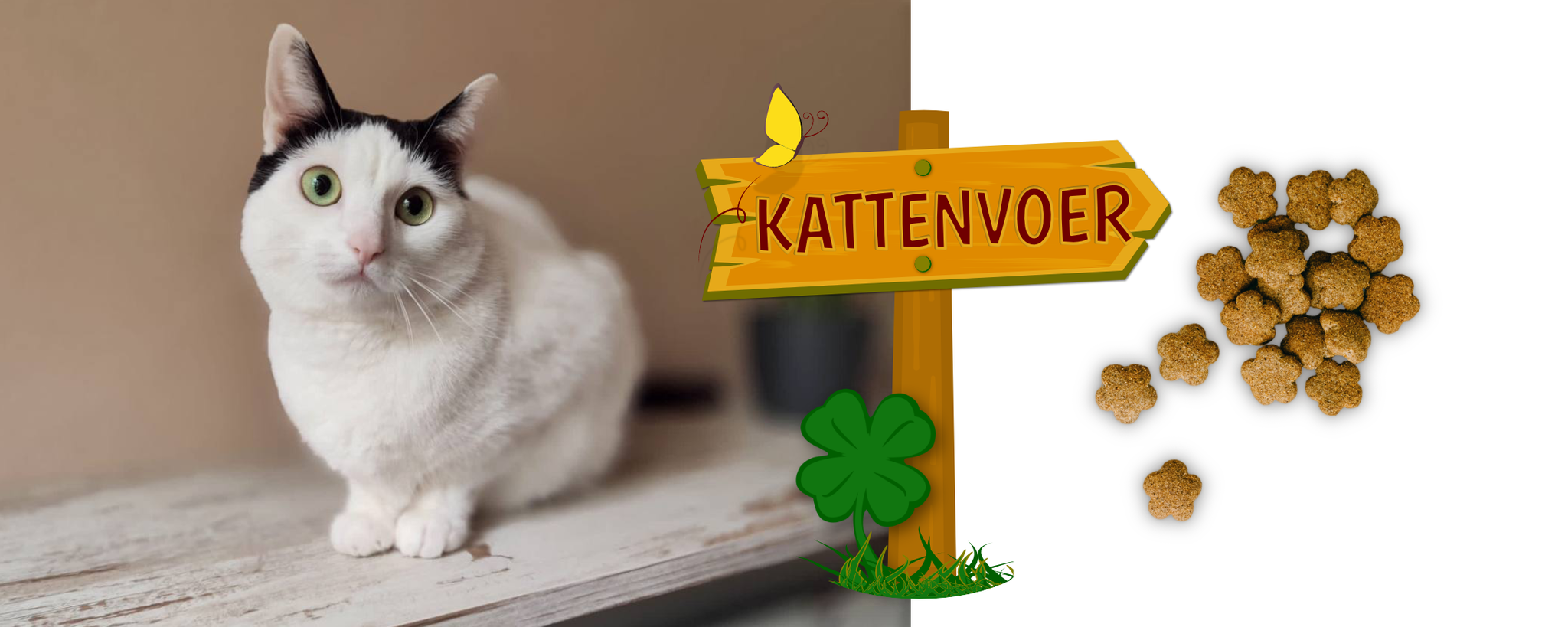 Welk kattenvoer is het best?