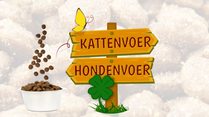 Kunnen katten hondenvoer eten? En andersom?