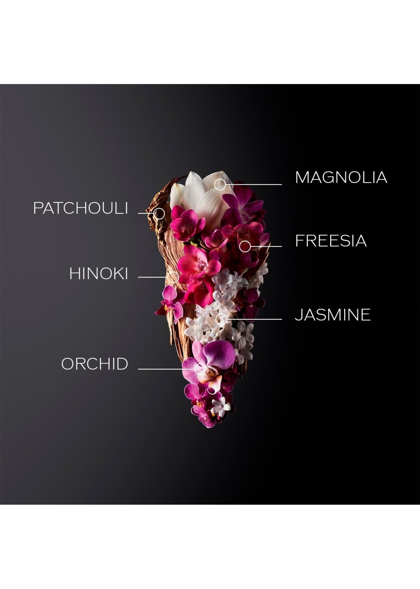Shiseido Shiseido Ginza Eau de Parfum - 8ml