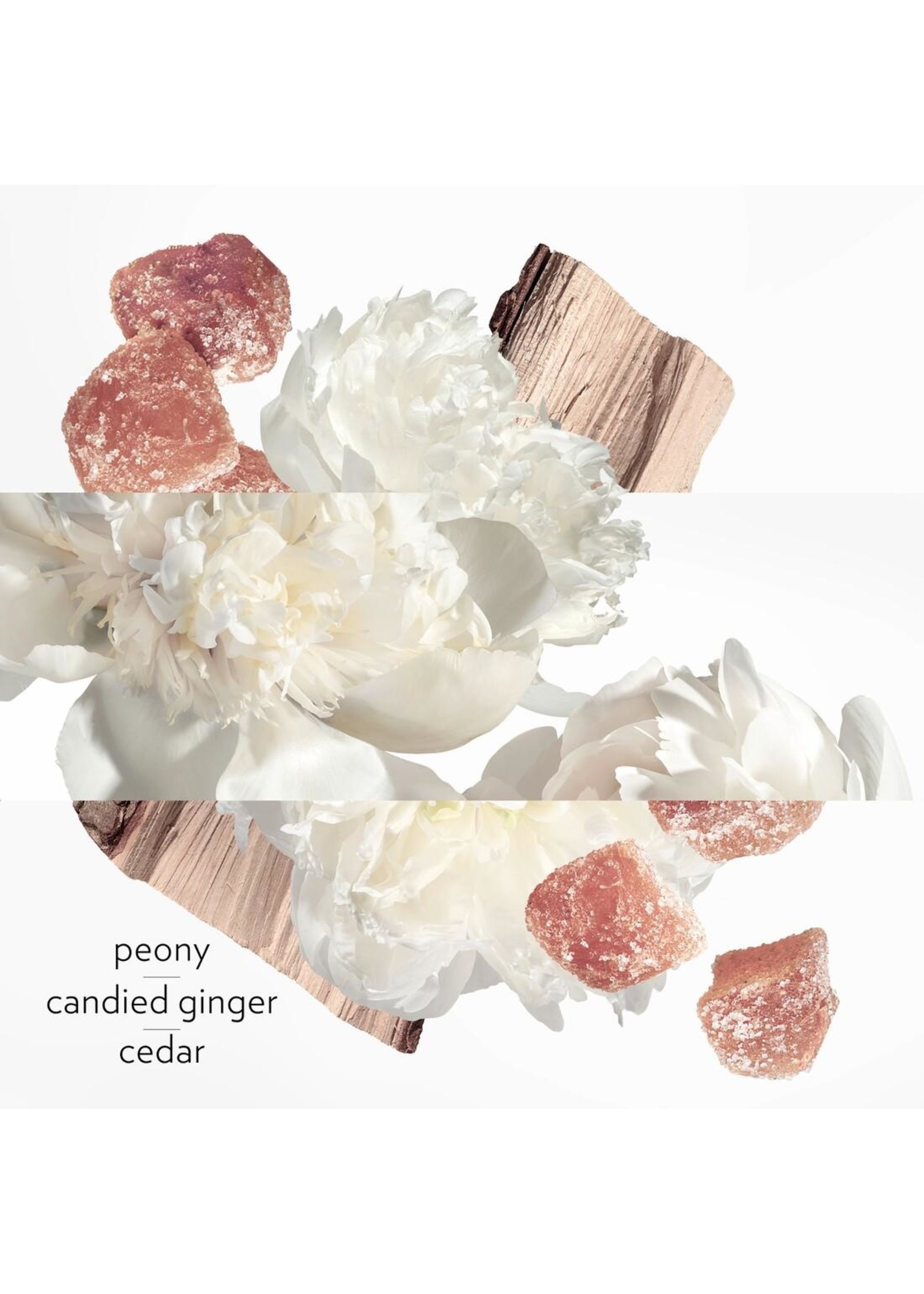 Hermes Hermès Twilly d’Hermès Eau Ginger Eau de Parfum