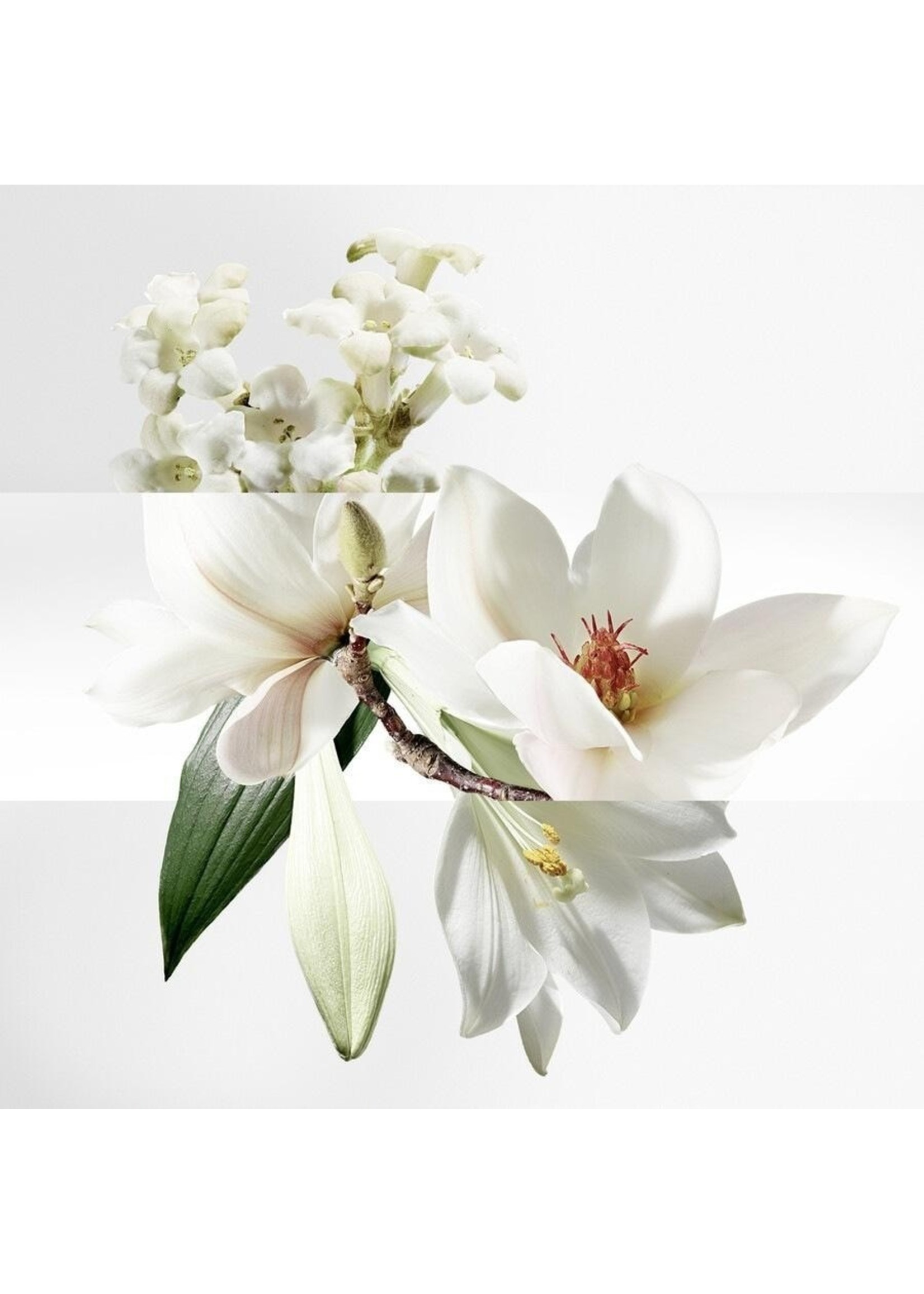 Hermes Hermès Jardin Collection Un Jardin Sur La Lagune Eau de Toilette