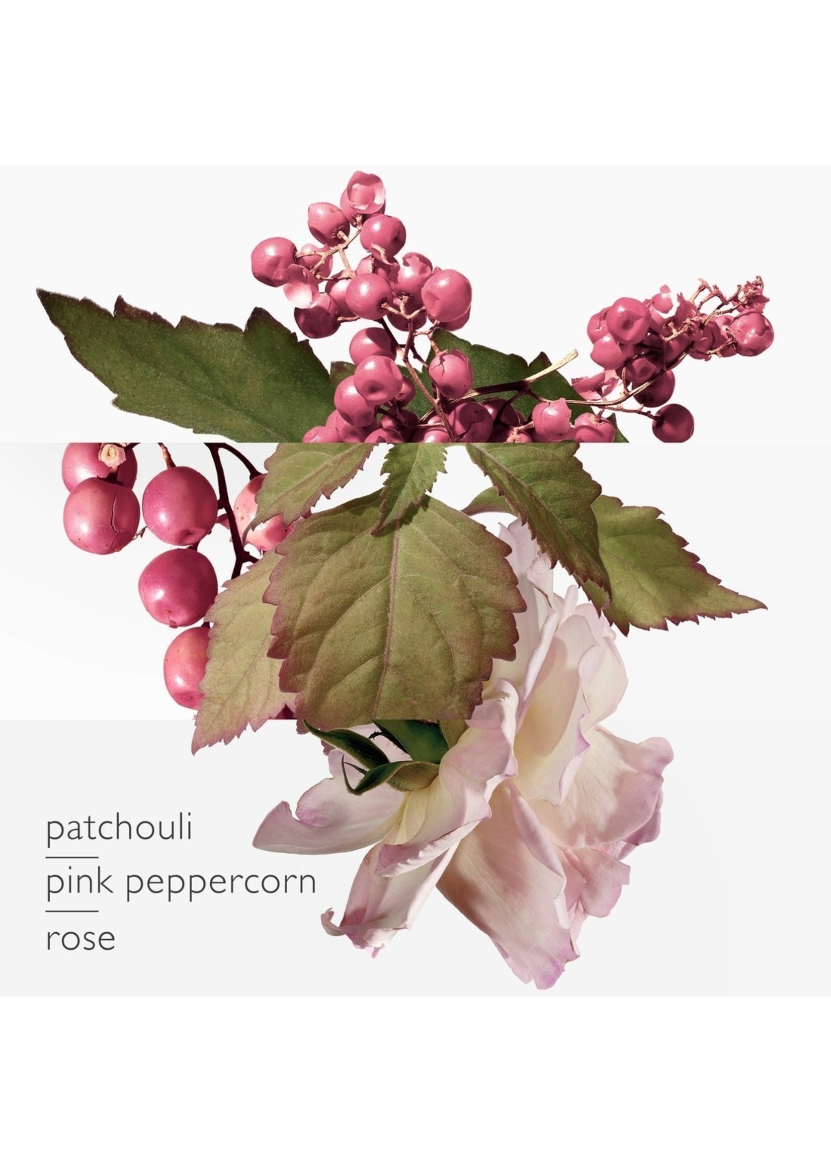 Hermes Hermès Twilly d’Hermès Eau Poivrée Eau de Parfum