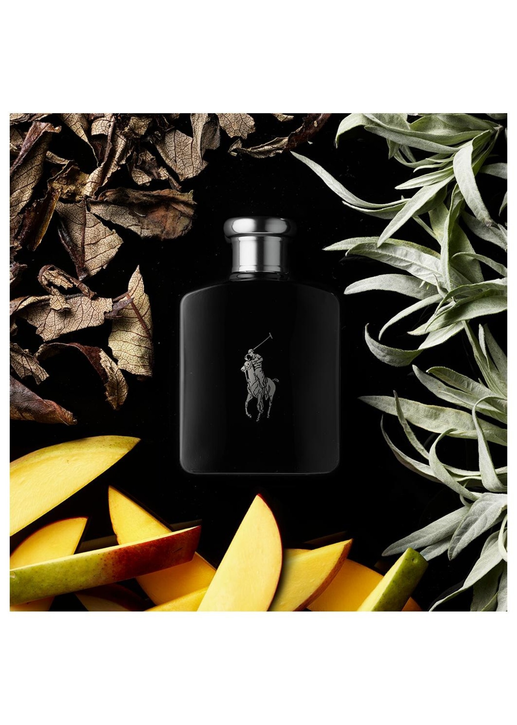 Ralph Lauren Ralph Lauren Polo Black Eau de Toilette