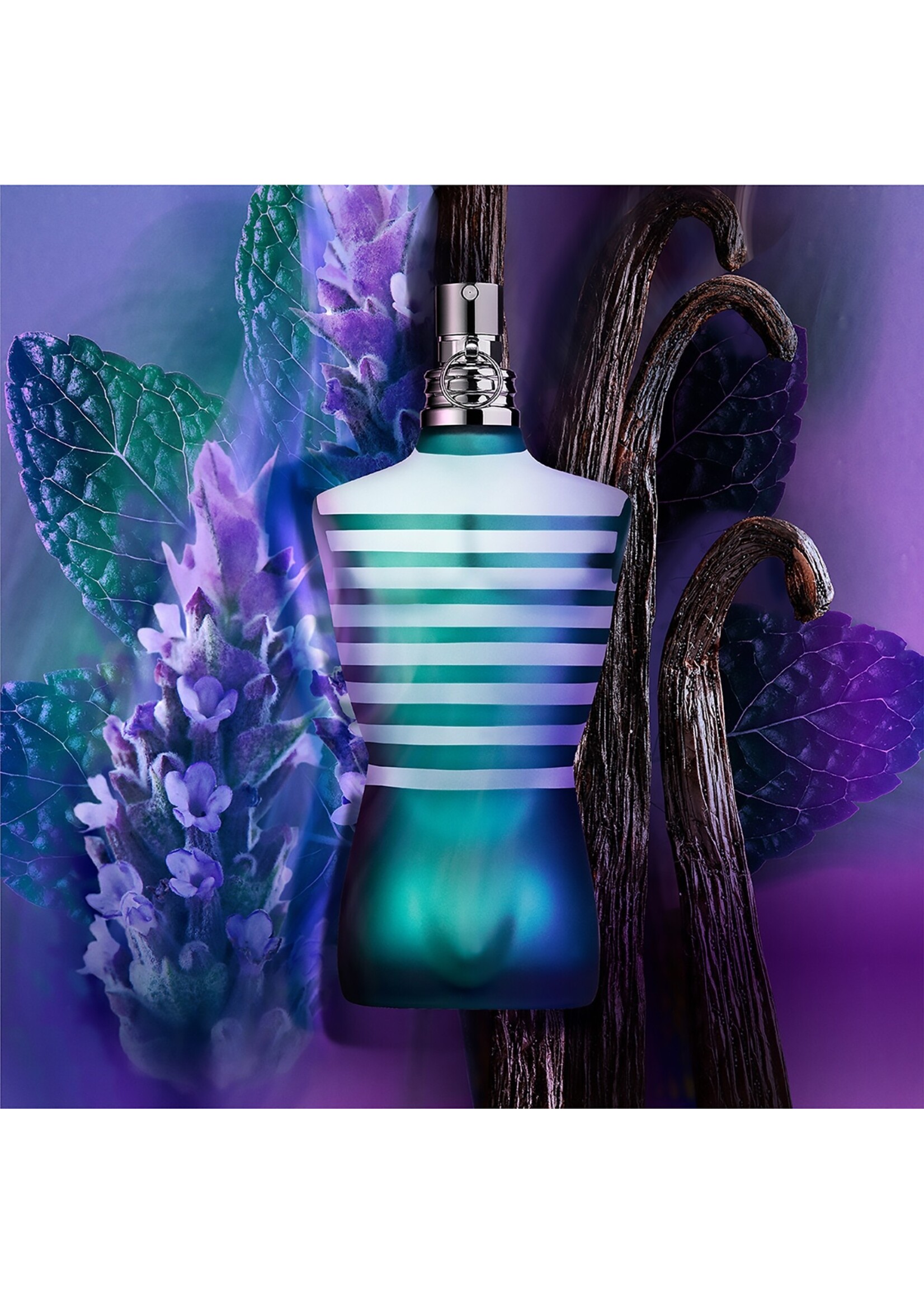 Jean Paul Gaultier Jean Paul Gaultier Le Male Eau de Toilette