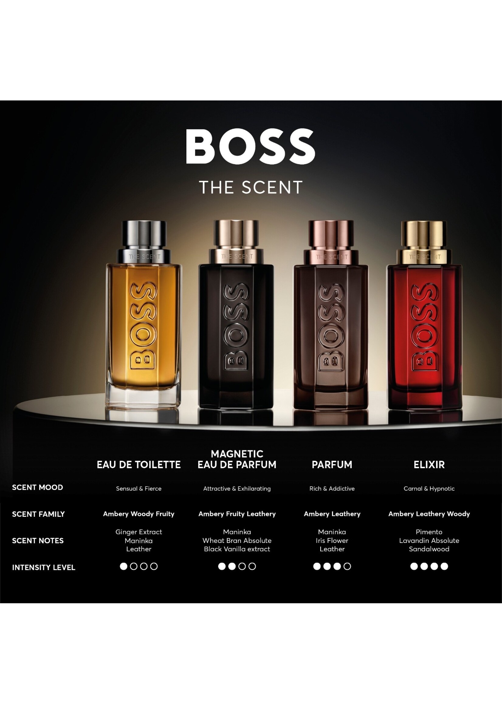 Hugo Boss BOSS The Scent Magnetic for Him Eau de Parfum