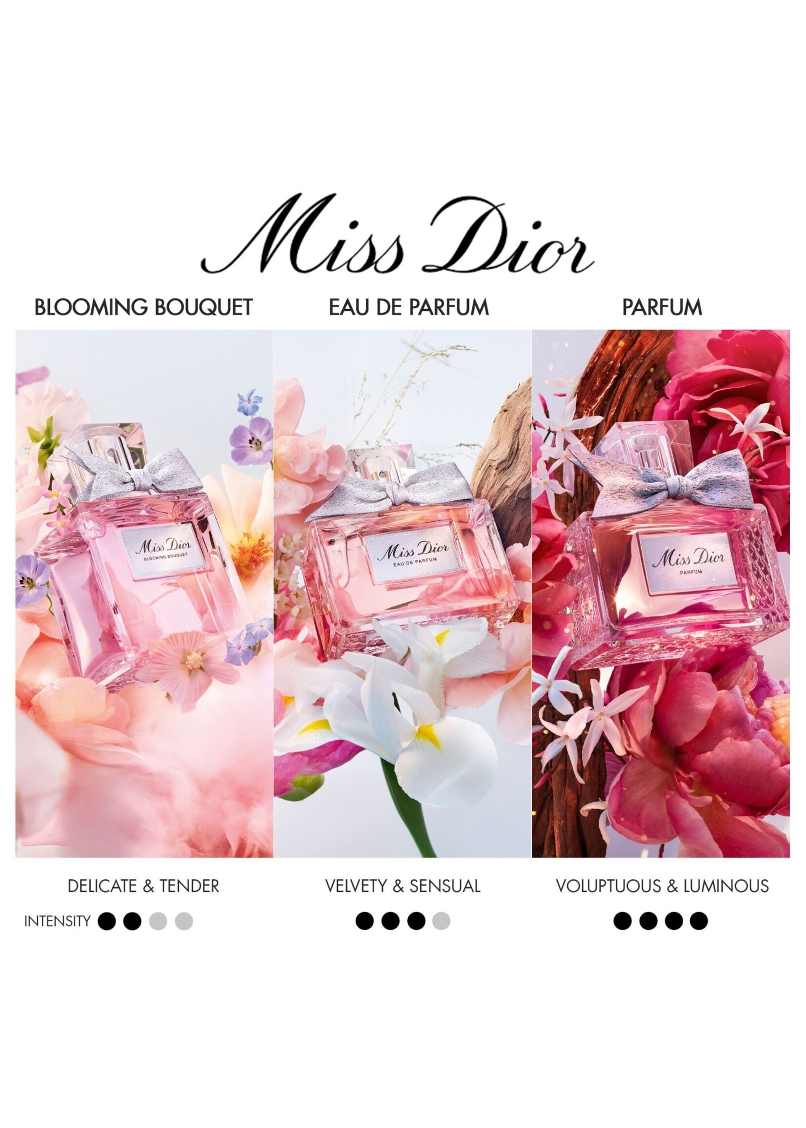 Dior Dior Miss Dior Parfum - 8ml