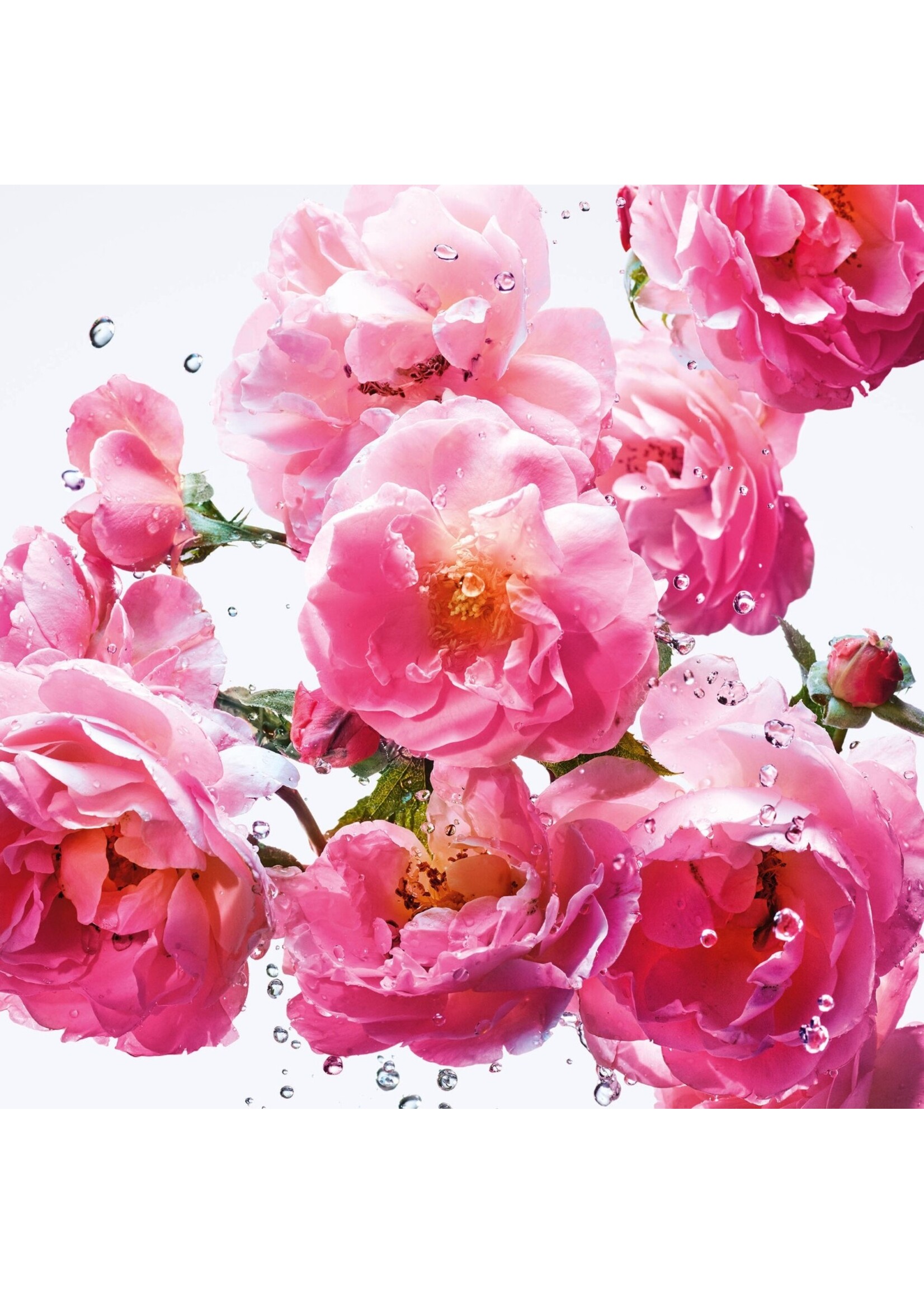 Dior Dior Miss Dior Rose N’Roses Eau de Toilette - 8ml