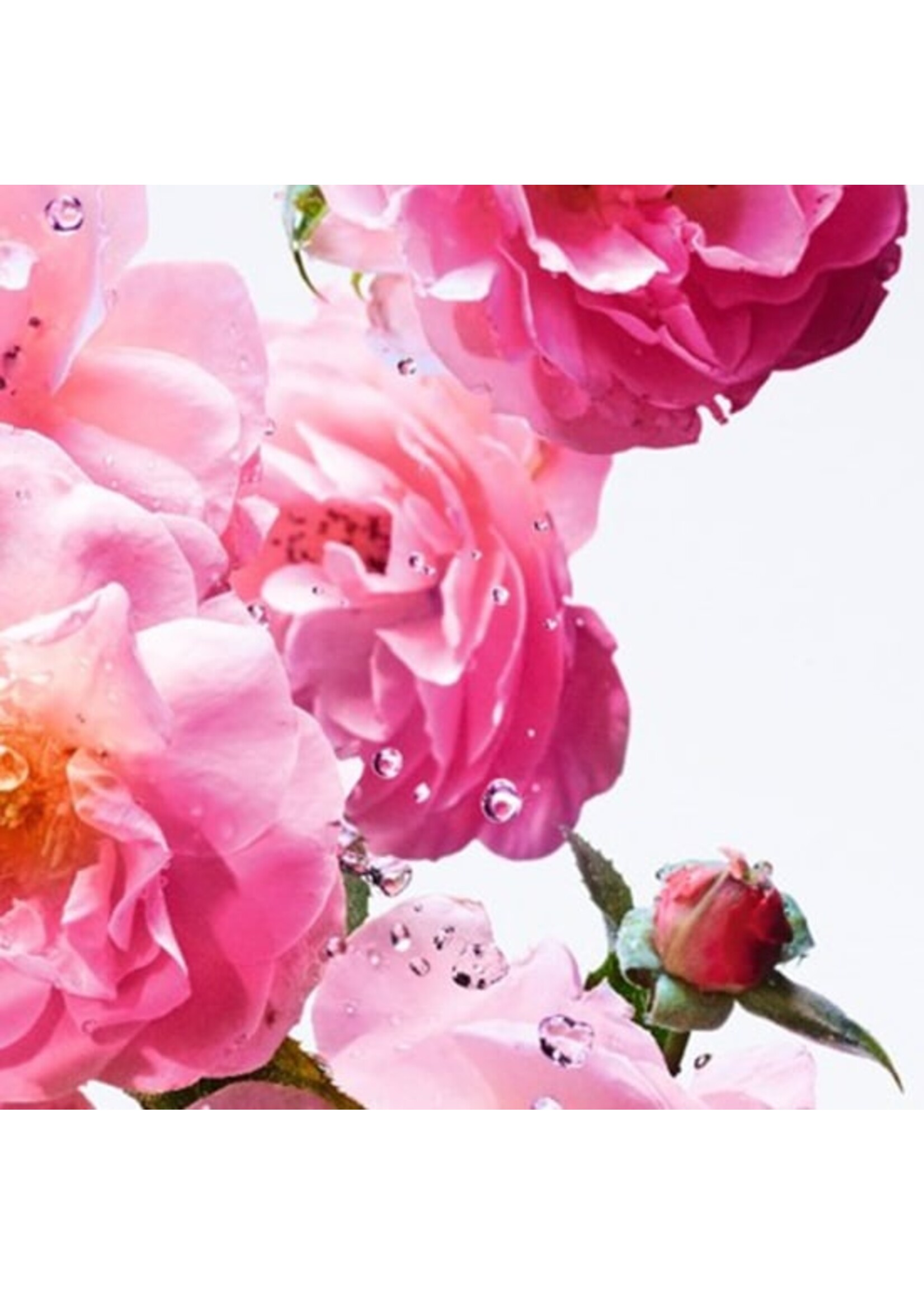Dior Dior Miss Dior Rose N’Roses Eau de Toilette - 8ml