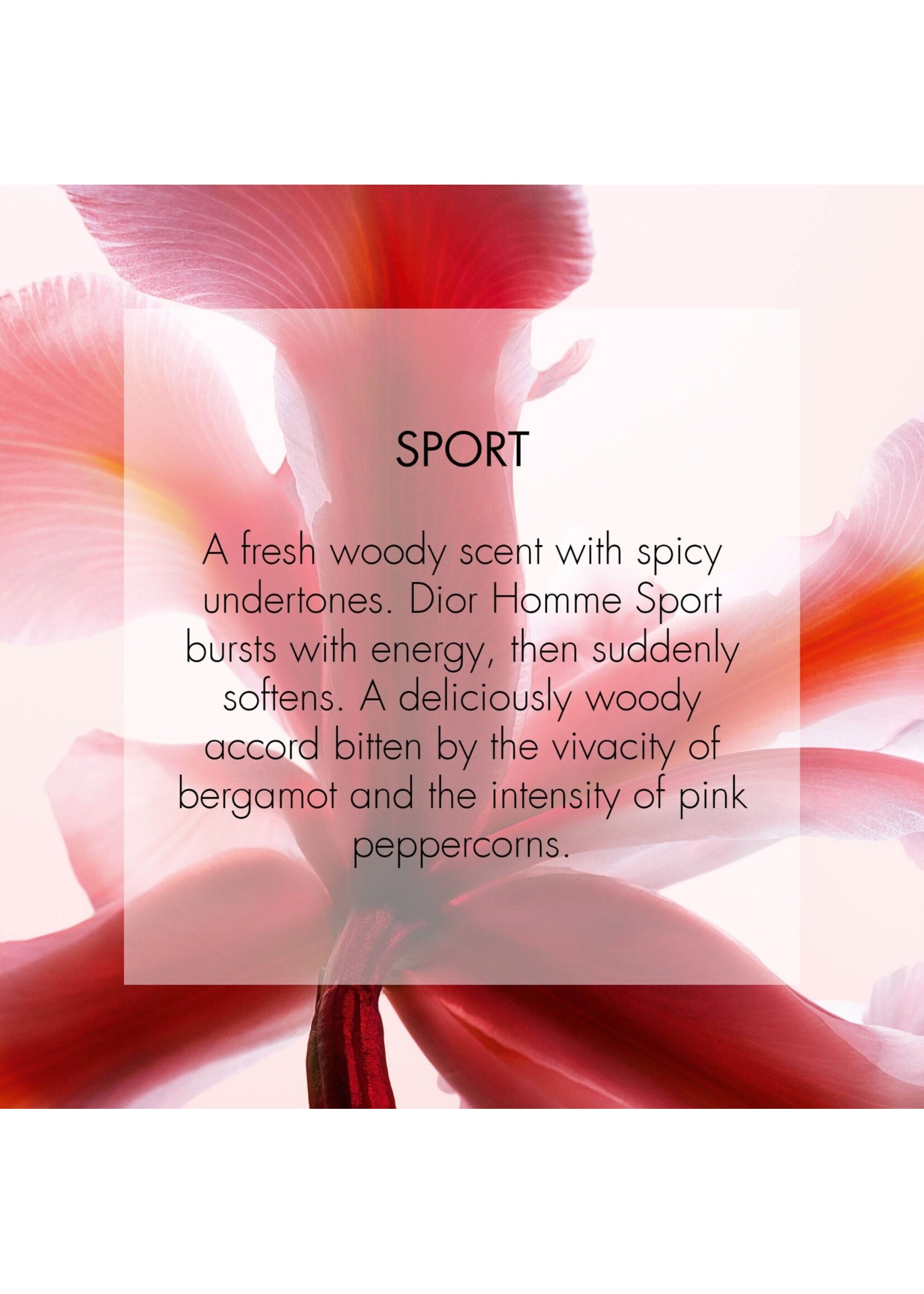 Dior Dior Homme Sport Eau de Toilette - 8ml