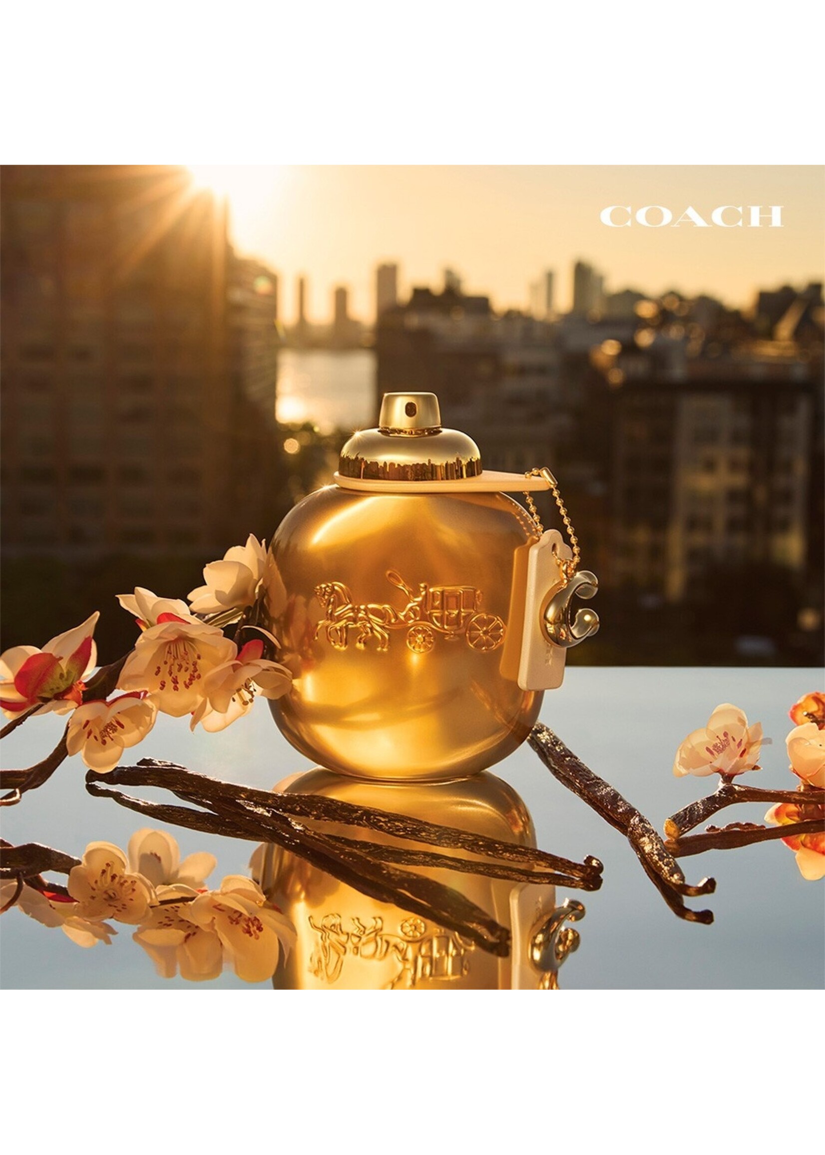 Coach Coach Gold Eau de Parfum - 8ml