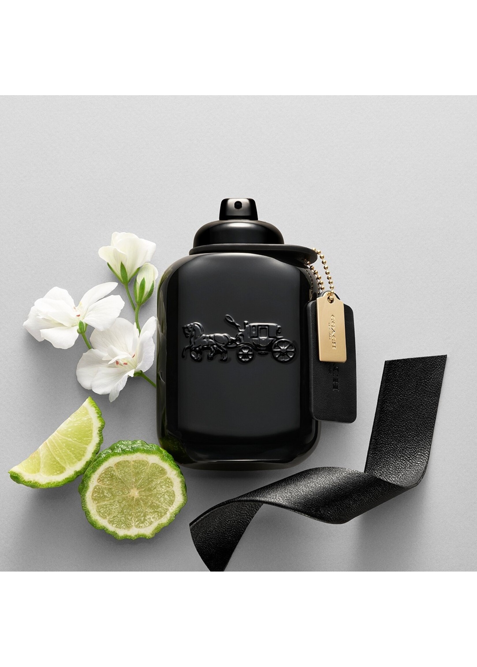 Coach Coach for Men Eau de Parfum