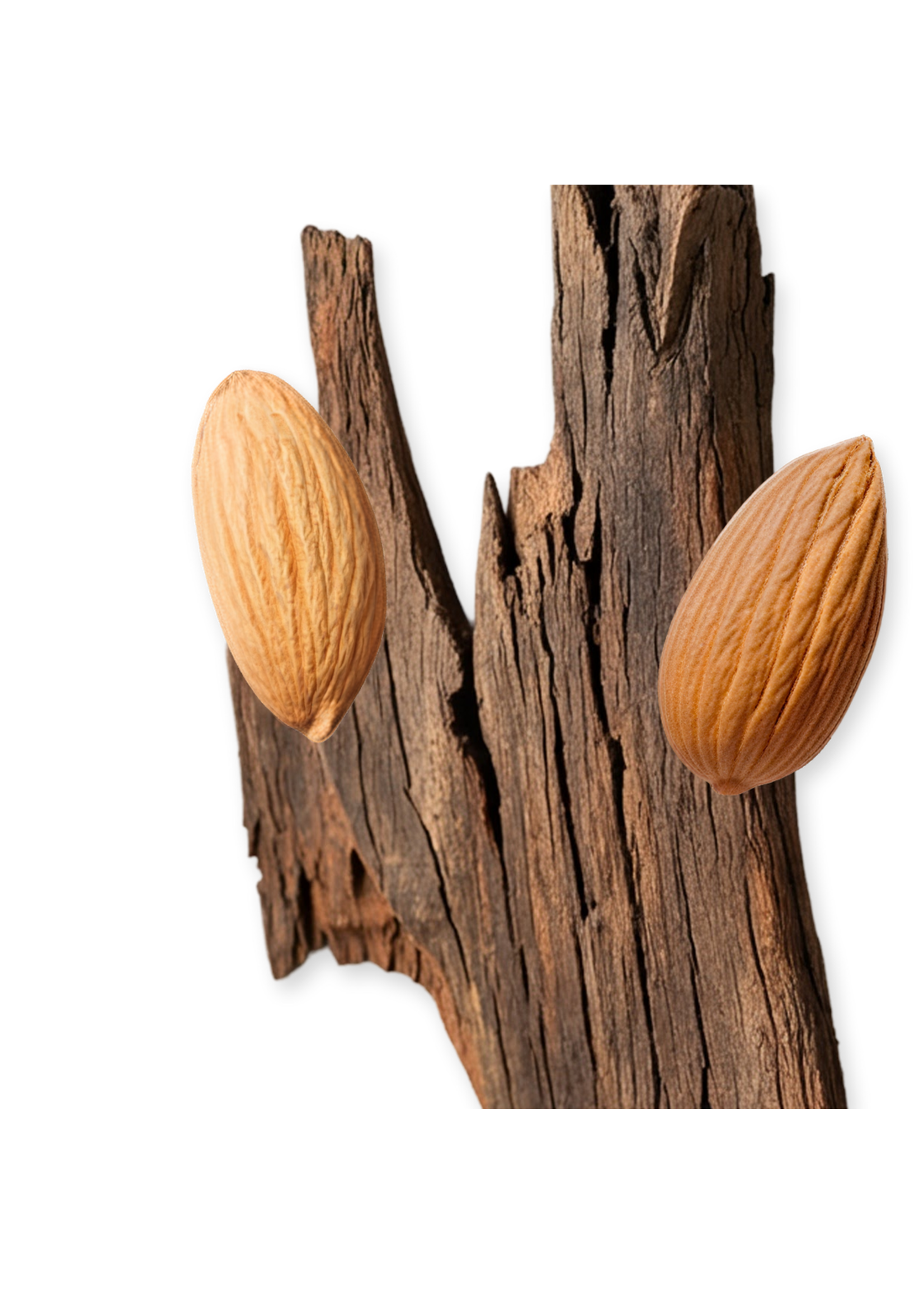 Parfums de Marly Parfums de Marly Pegasus Exclusif Eau de Parfum