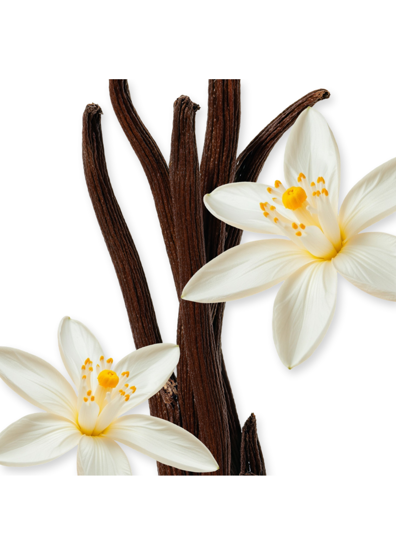 Parfums de Marly Parfums de Marly Althaïr Eau de Parfum