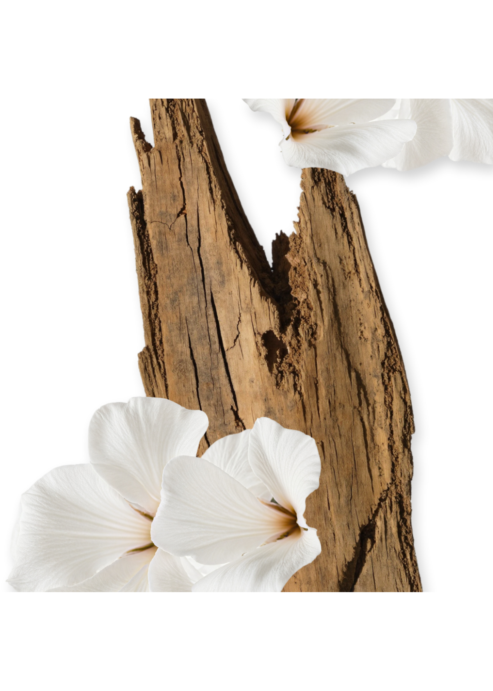 Parfums de Marly Parfums de Marly Valaya Eau de Parfum