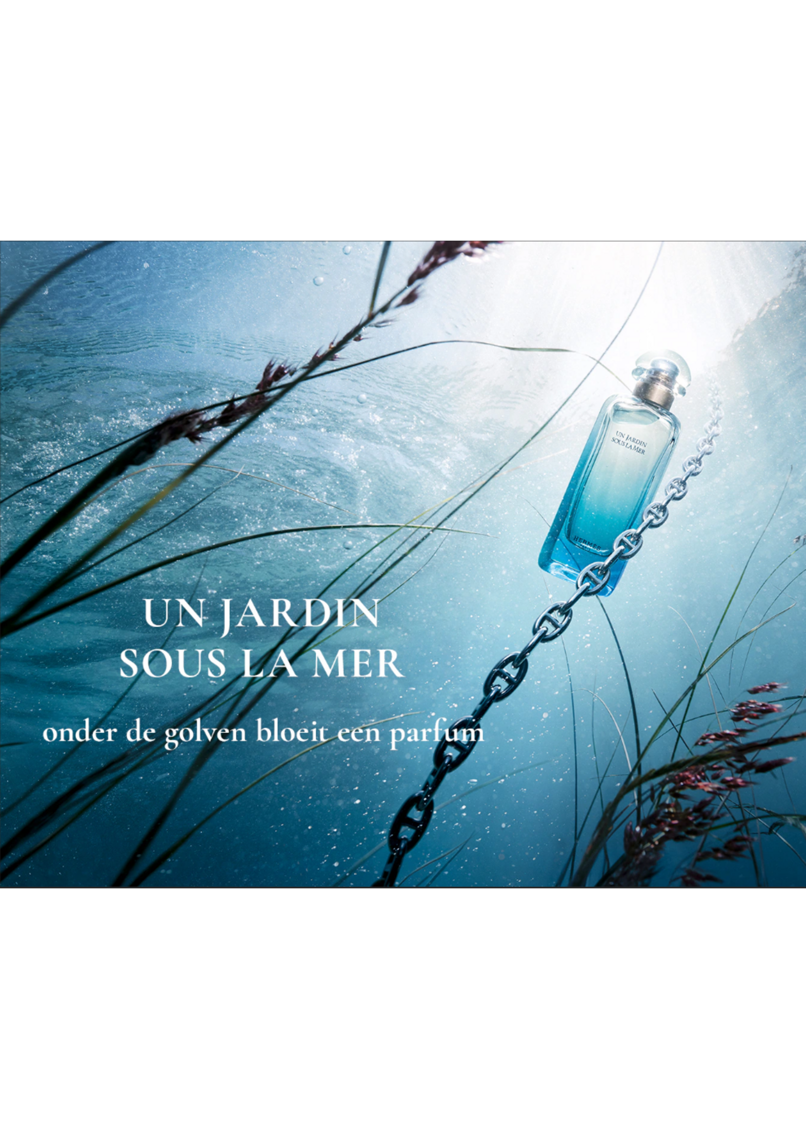 Hermes Hermès Un Jardin Sous La Mer Eau de Toilette