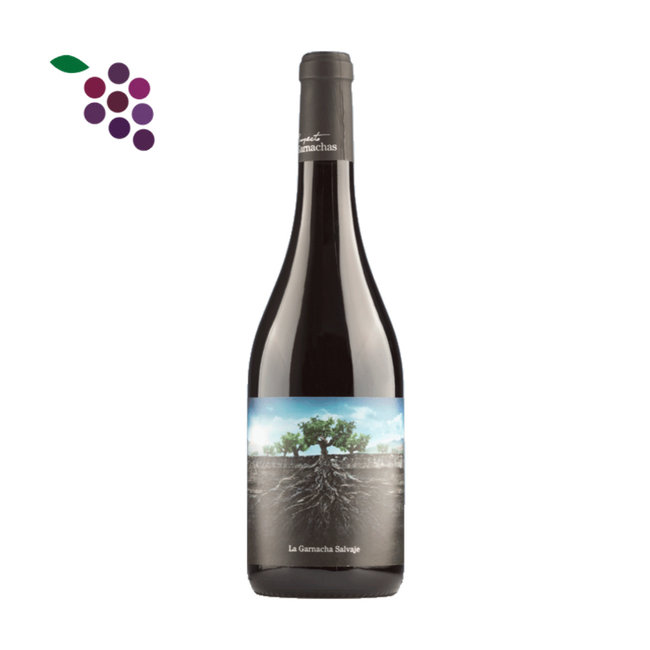 Garnacha Salvaje Moncayo 2021