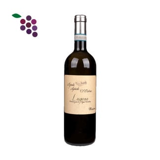 Zenato Santa Cristina Lugana Massoni 2024
