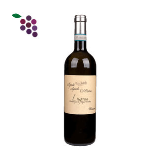 Zenato Santa Cristina Lugana Massoni 2025
