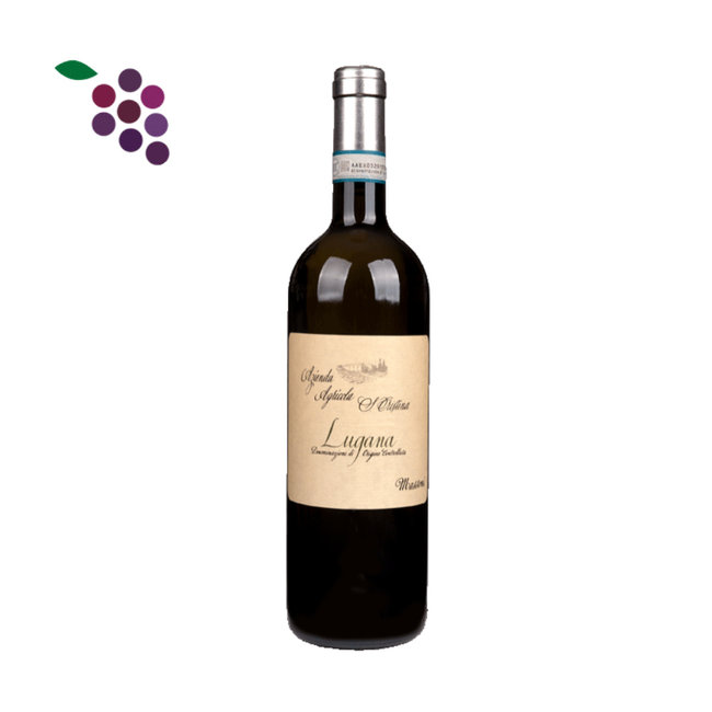 Zenato Santa Cristina Lugana Vign. Massoni