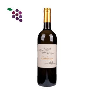 Zenato Santa Christina Chardonnay 2025