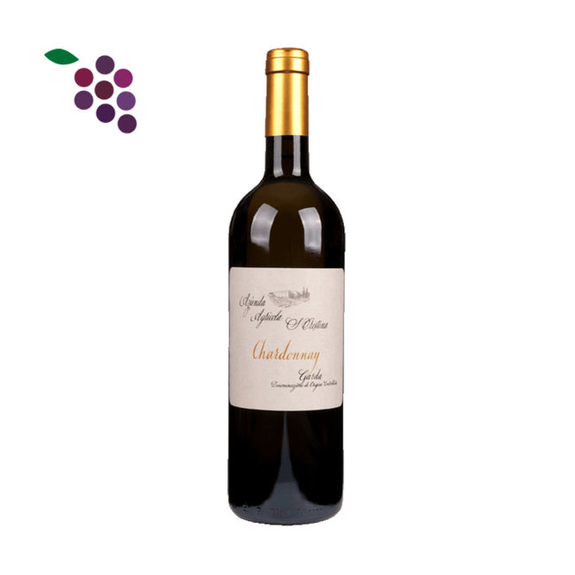 Zenato Santa Christina Chardonnay 2024