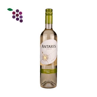 Antares Sauvignon Blanc 2025