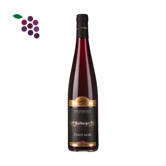Wolfberger Pinot Noir d'Alsace 2023