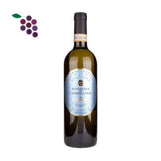 Vite Colte Gavi di Gavi Masseria dei Carmelitani 2024