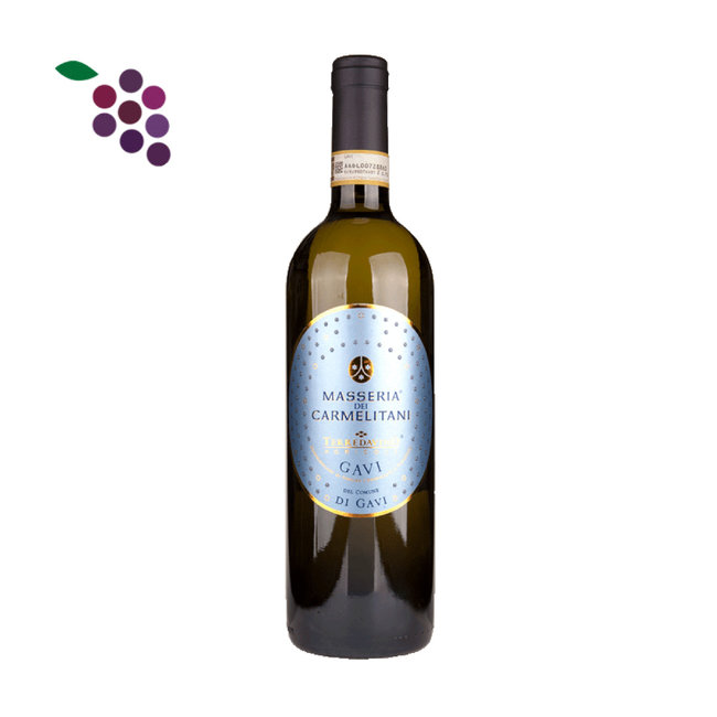 Vite Colte Gavi di Gavi Masseria dei Carmelitani 2024