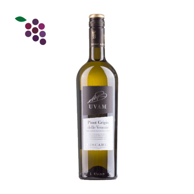Biscardo UVAM Pinot Grigio delle Venezie 2024