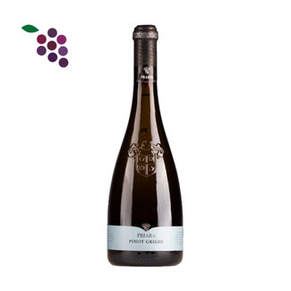 Cielo Pradio Friuli Pinot Grigio 2025